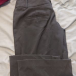 Dress pants